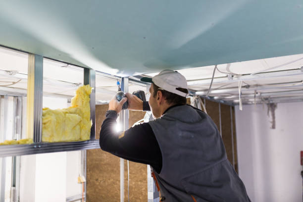 Best Commercial Insulation Contractor  in Alum Creek, WV