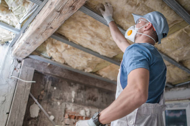 Best Attic Insulation Installation  in Alum Creek, WV