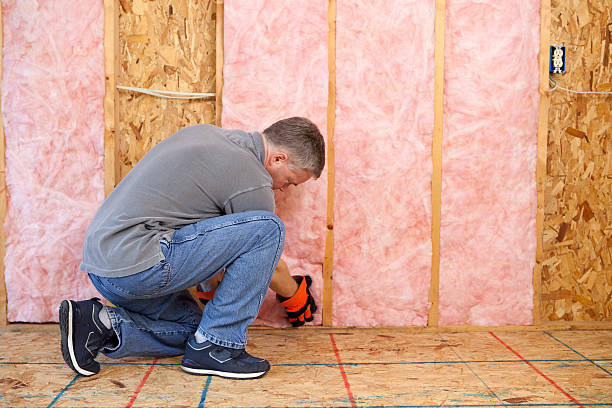 Best Residential Insulation Services  in Alum Creek, WV