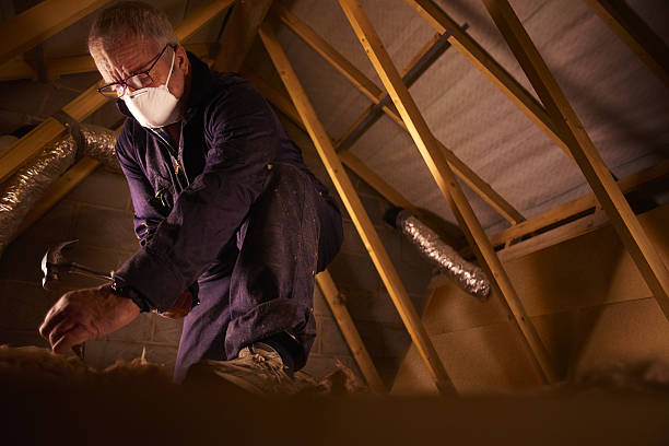 Professional Insulation Contractor in Alum Creek, WV